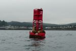 PICTURES/Whale Watching - Depoe Bay/t_Buoy & Seals8.JPG